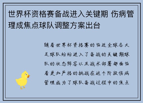 世界杯资格赛备战进入关键期 伤病管理成焦点球队调整方案出台